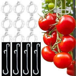50pcs Plant Supports Clips for Garden Tomato Vegetable Vines Upright Clip Reusable Gardening Supplies Grafting Fixing Tools