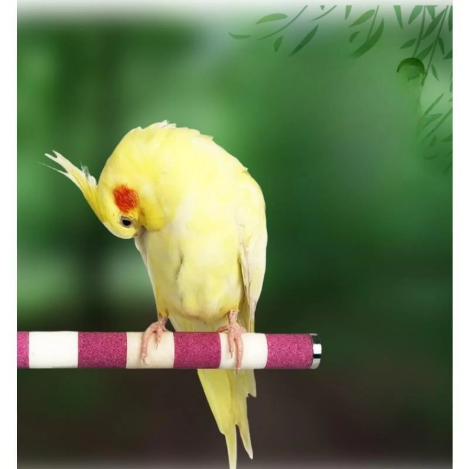 16cm Bird Claw Beak Grinding Bar Standing Stick Parrot Station Pole Bird Supplies Parrot Grinding Stand Claws Cage Accessories