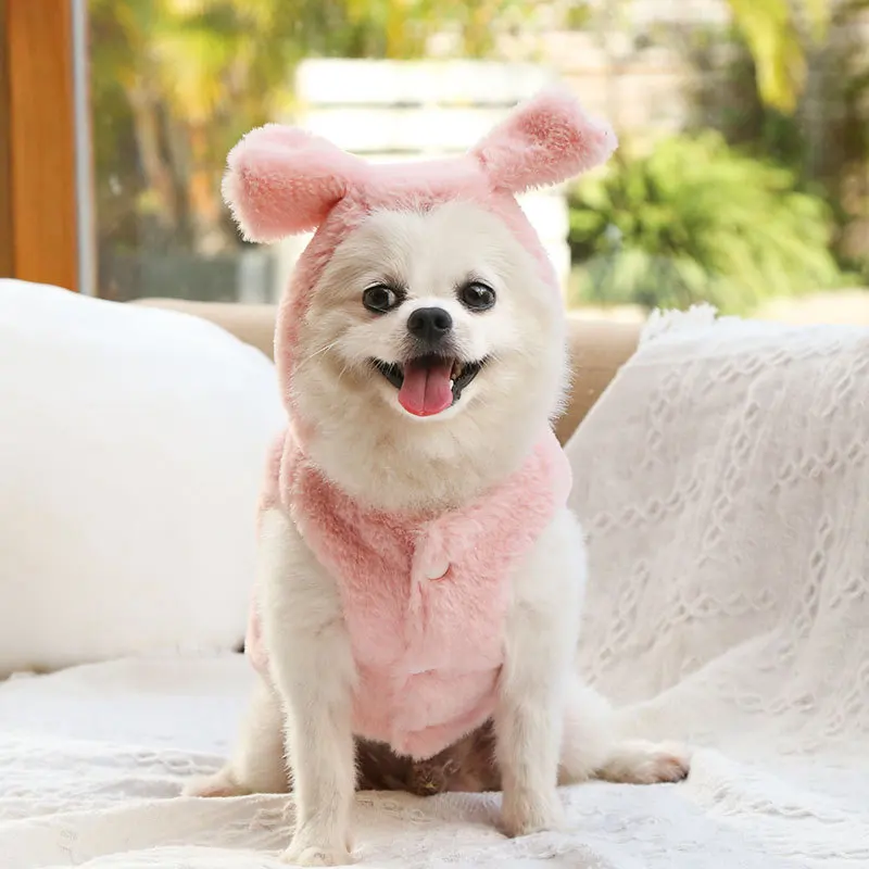 Autumn and Winter Pet Dogs Cat Clothes Fur Coats Bow Decorations Teddy Bears Supplies Small and Medium-sized Dogs Coat