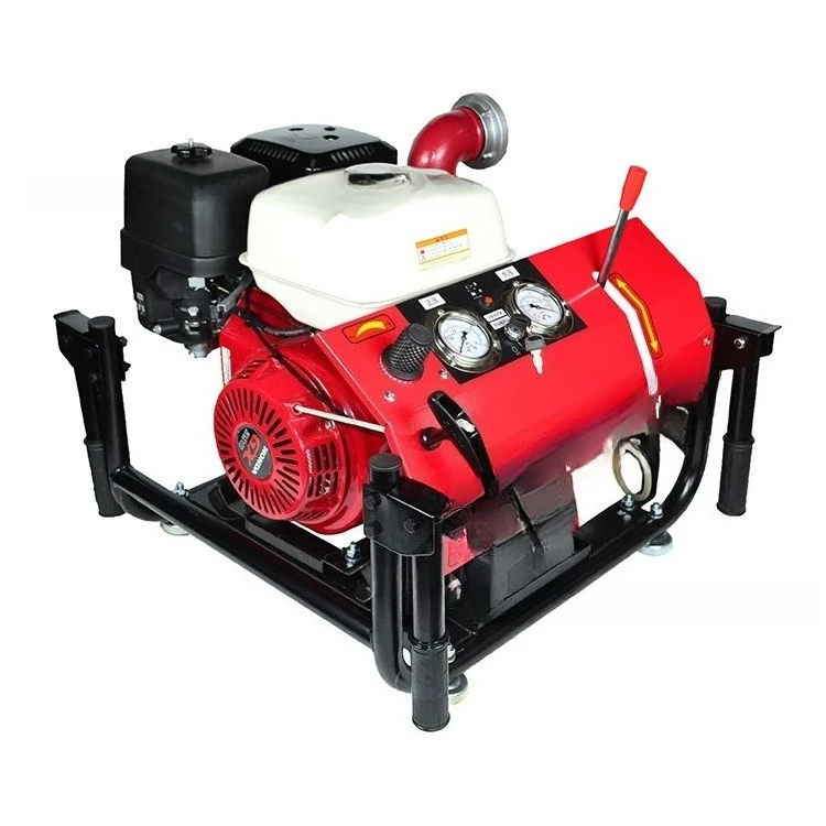 

Hand lift motor pump portable 13 horsepower multifunctional diaphragm