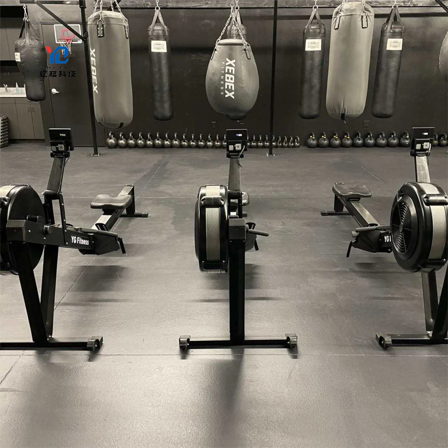 YG Fitness YG-R004 آلة صف مقاومة الهواء تجديف شعبي قابل للطي لتمرين الجسم موفر للمساحة