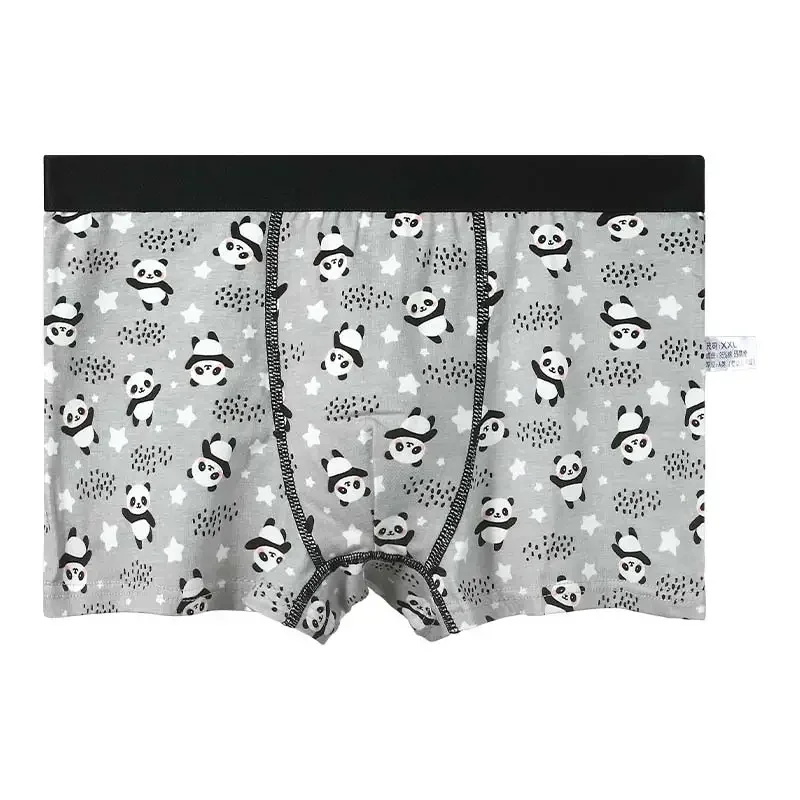5PC Boys' cotton underwear, children's soft quadrangle pants