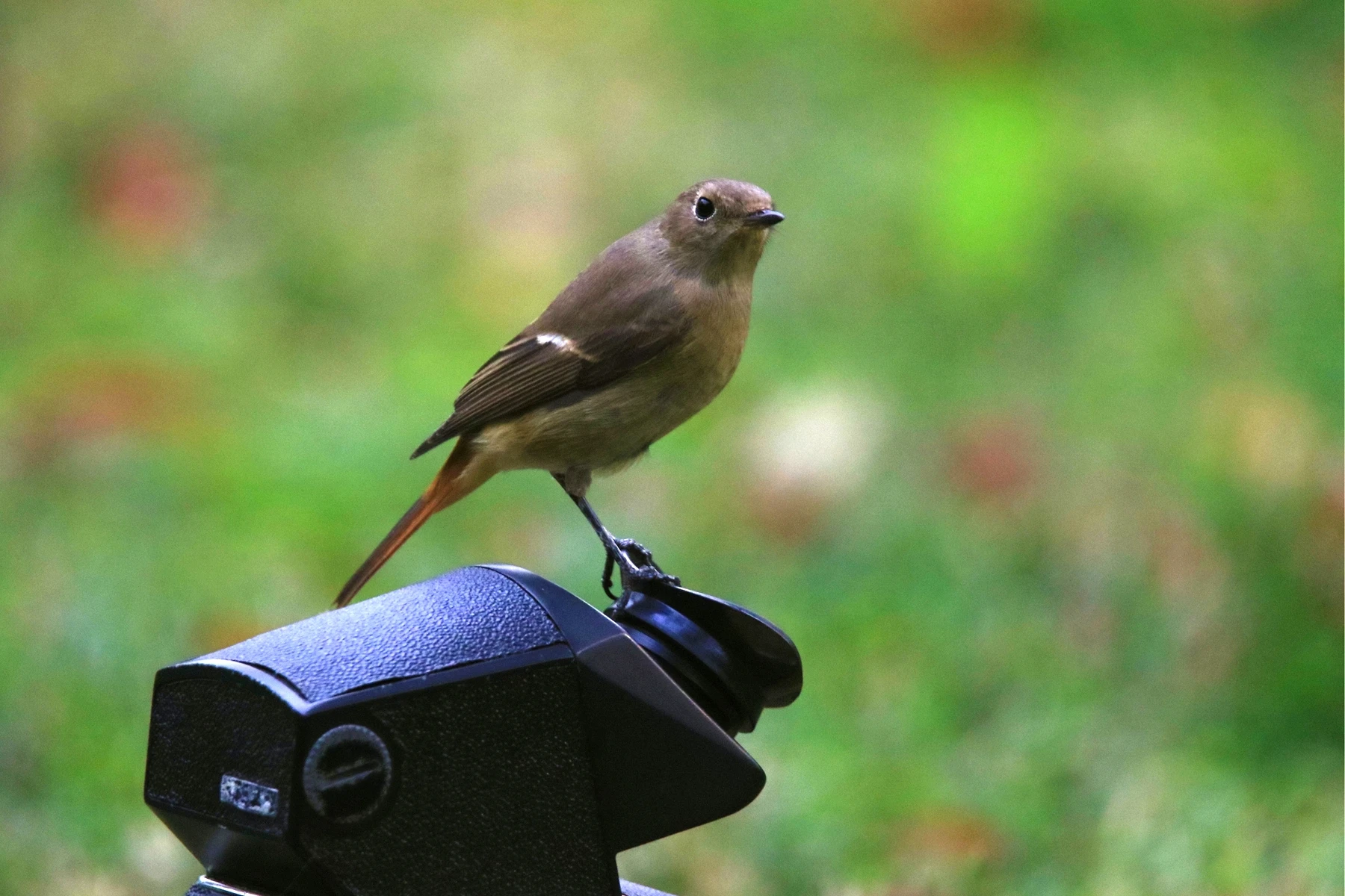 

Комплект колесных дисков и шин Big Size 125 мм 1.9 Beadlock для радиоуправляемых краулеров 1/10: Trxs TRX4, RC4WD, D90, Axial SCX10, Pro Capra, Redcat, MST