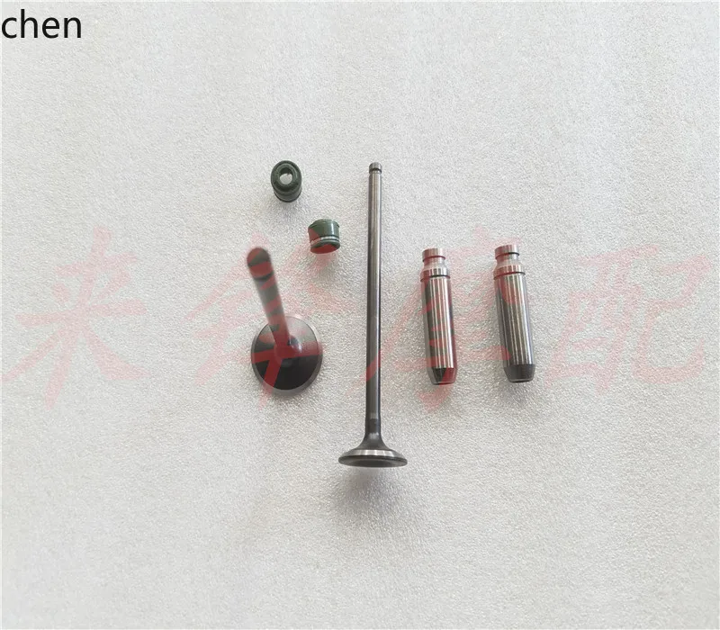 

HXL ZY1000 Intake and Exhaust Valve Valve Guide Motorcycle Accessories