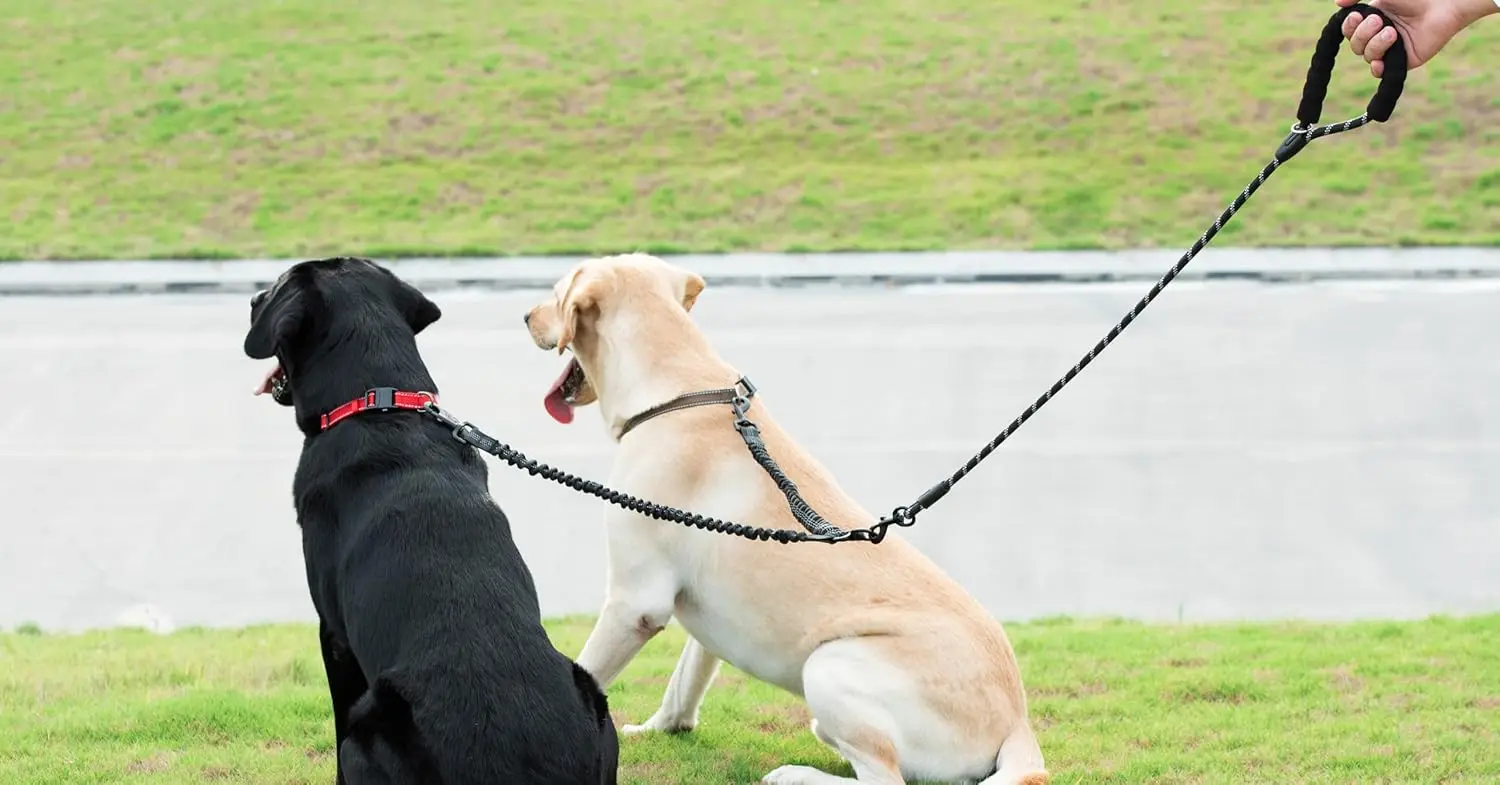Doppelte Hundeleine, doppelte Hundeleine, 360° drehbare Gehleine ohne Verwicklung, stoßdämpfendes Bungee für zwei Hunde – Detail 12