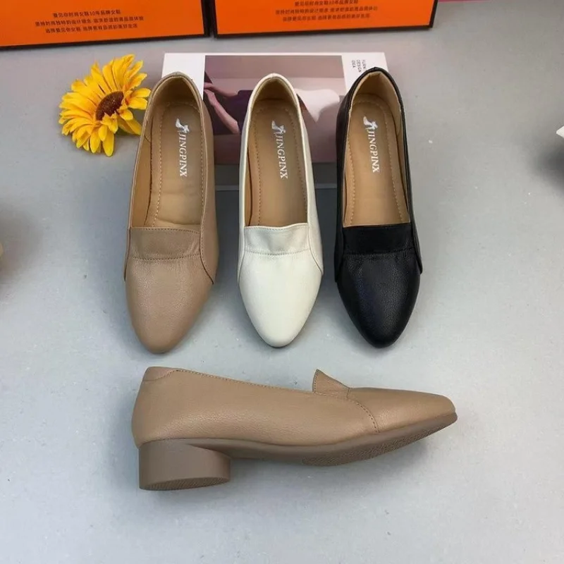 Spitze Zehen-Loafer für Damen, Frühling, neue, vielseitige Lederschuhe im französischen Stil mit flachem Mund, weiche Sohle, weiches Leder, Mutterschuhe