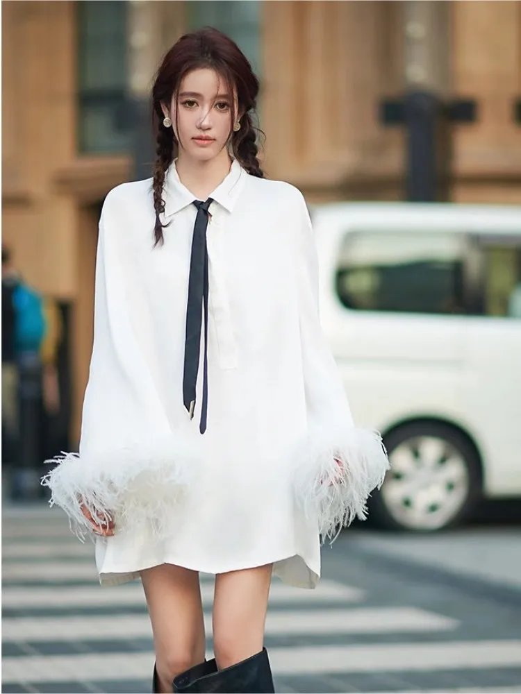 

White Feather Sleeved Shirt for Women, French Holiday Style, Long Dress, Spring and Autumn, New