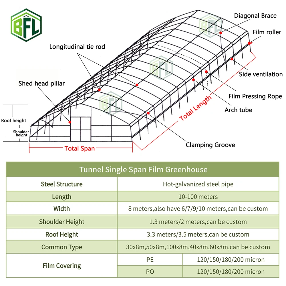 Hot Sale Single Span Greenhouse Kit with Galvanized Steel Frame for Backyard Farming