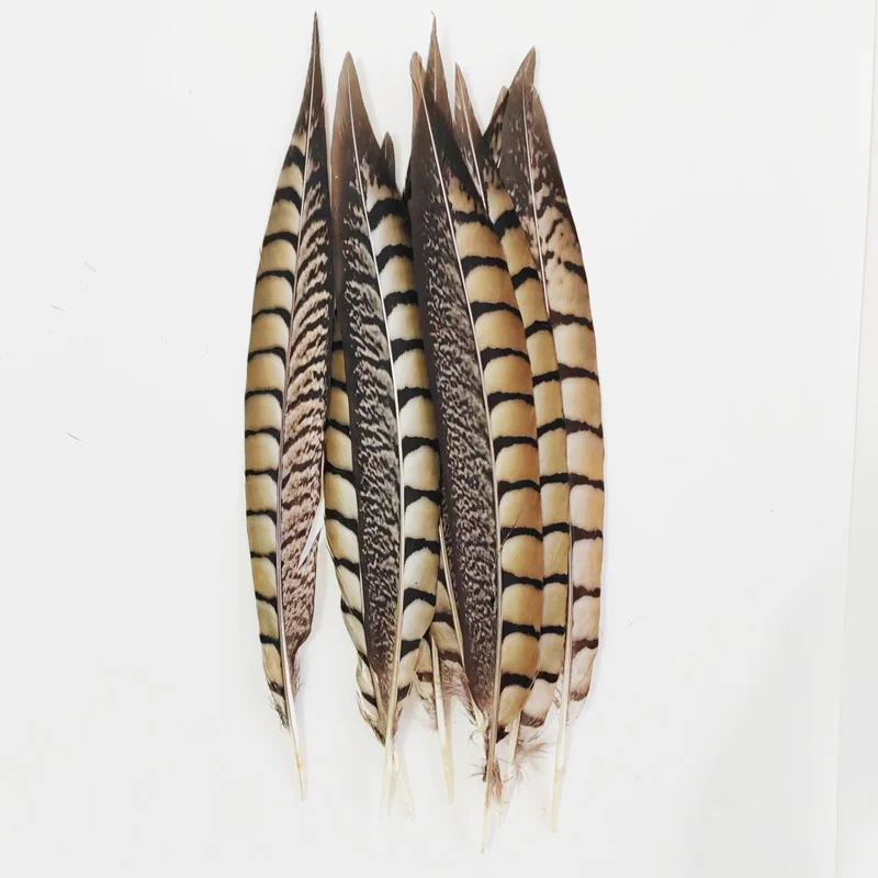 10/50Pcs/Lot!10-40cm Lady Amherst Pheasant Tail Feathers Wholesale Loose Feathers DIY Jewelry Stage Performances Decoration