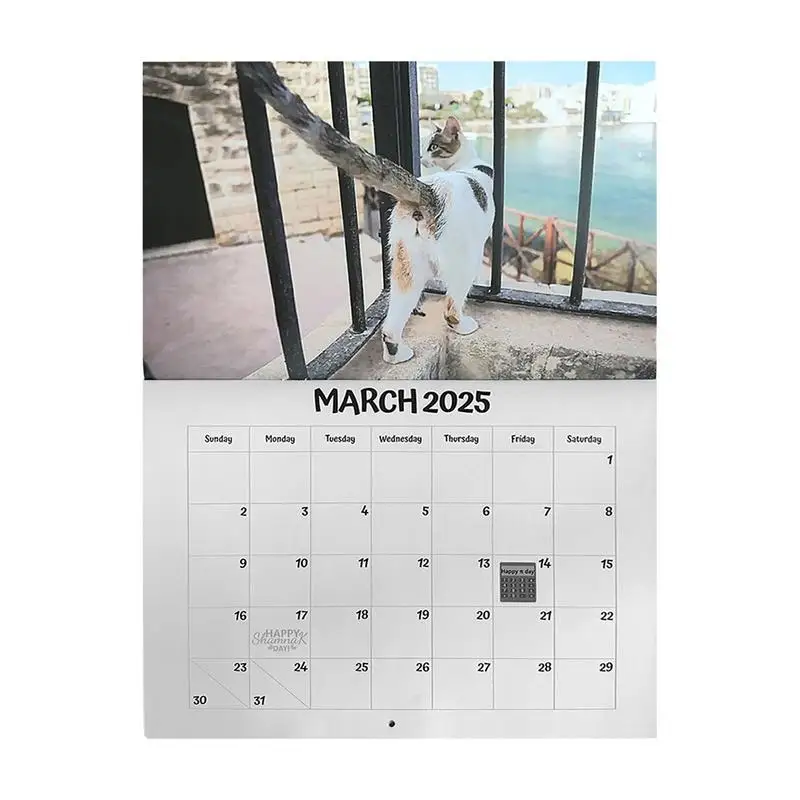 

Настенный календарь с кошками и бутонами, странный календарь на стену 2025, Забавный вертикальный ежемесячный настенный календарь 2025 для домашней стены