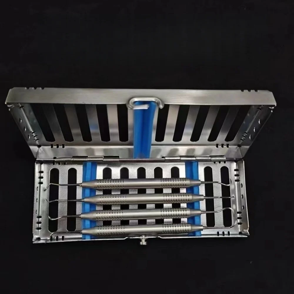 4PCS Dental Scaler Set Stainless Steel Double Ended Tools for Teeth Cleaning and Diagnosis Dental Instruments with disinfect Box