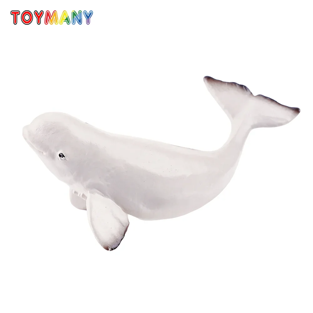

Toymany Simulation Beluga Whale Calf Ocean Animal Model Toy Mini Figures Dolls Action Figurines Toys Children Gift Cake Decora