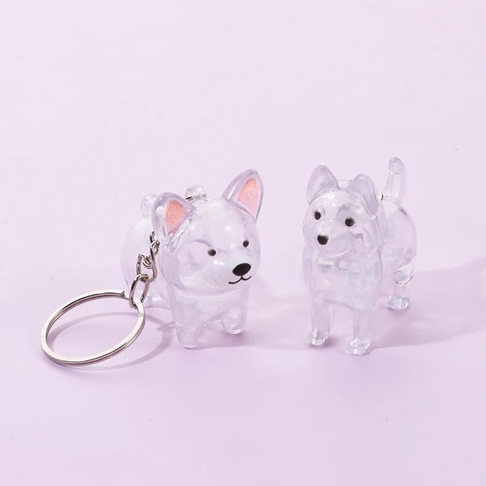 Transparent Dog Fur Storage Pendant Cute DIY Accessories Portable Souvenirs Keychain Fur Storage Capsule Pet Hair Container