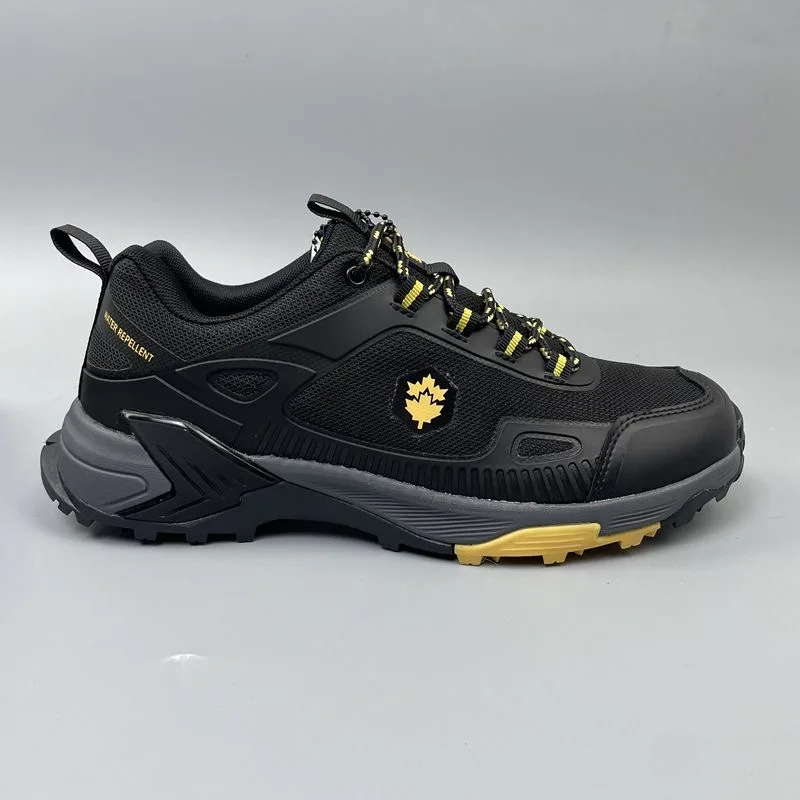 2026 Professional T…