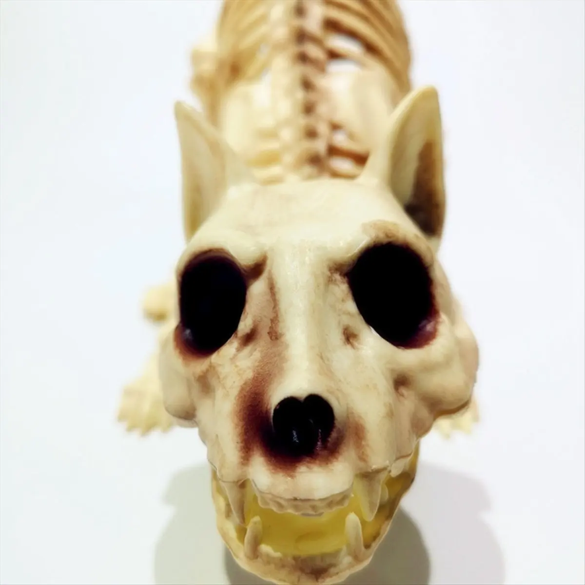 Halloween Scary Decoration Crouching Cat Skull Model Creepy Animal for VAMPIRE Party Trick