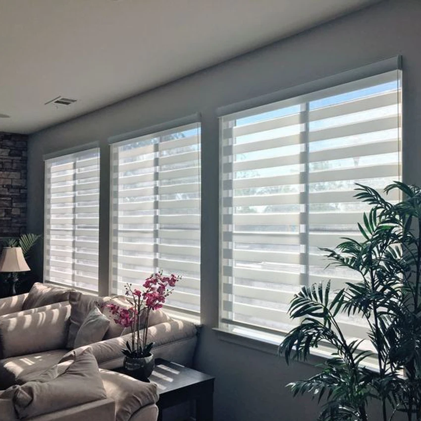 DIHIN HOME Canada Window Blackout Dual Roller Shades Custom Size High Quality Electric Zebra Blinds For Living Room