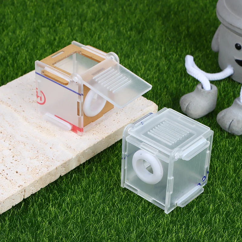 1pc Ant Nest Glass Tube Mini A - Farming Zone ulasan dan harga