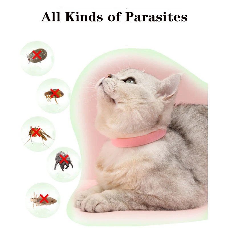 Cat Collar Dog Neck Ring Anti Flea Mite Lice Insecticide Mosquito Outdoor Adjustable Pet Long-term Protection Cat Accessories