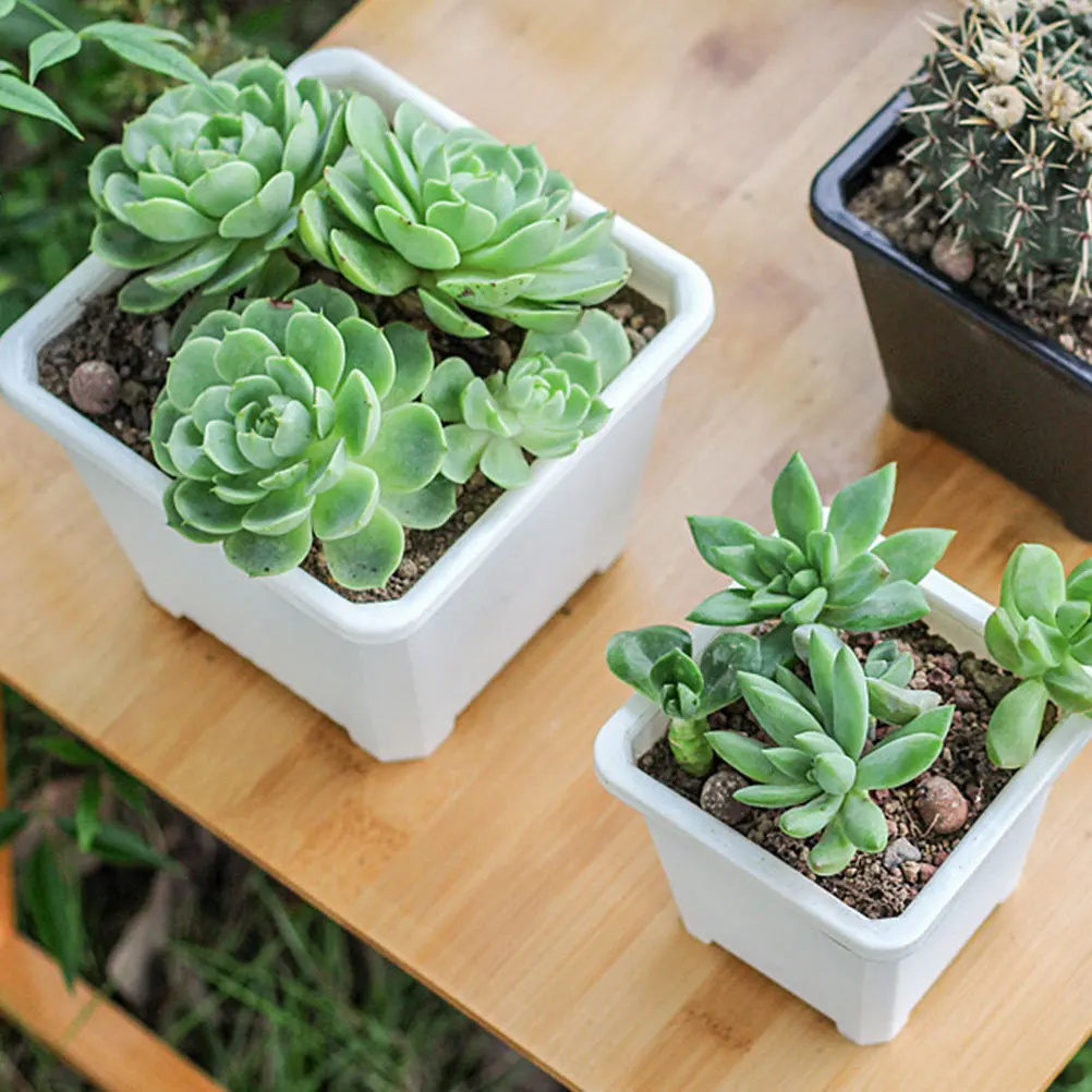 

6 Pcs Desktop Thickened Square Flower Pot Miss Plant Pots Indoor Plastic Raw Material Bonsai