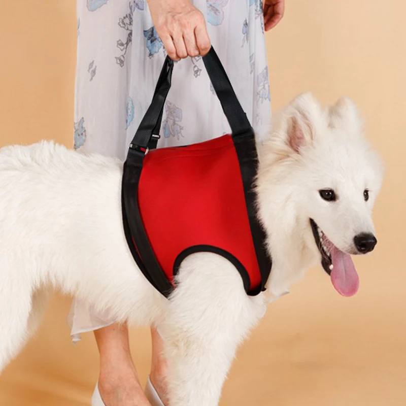 

Pet Safety Care ProductsSenior Dog Help Walking AidHighly Elastic Hind Limb Joint Protection Belt Pet Accessories Pet Products