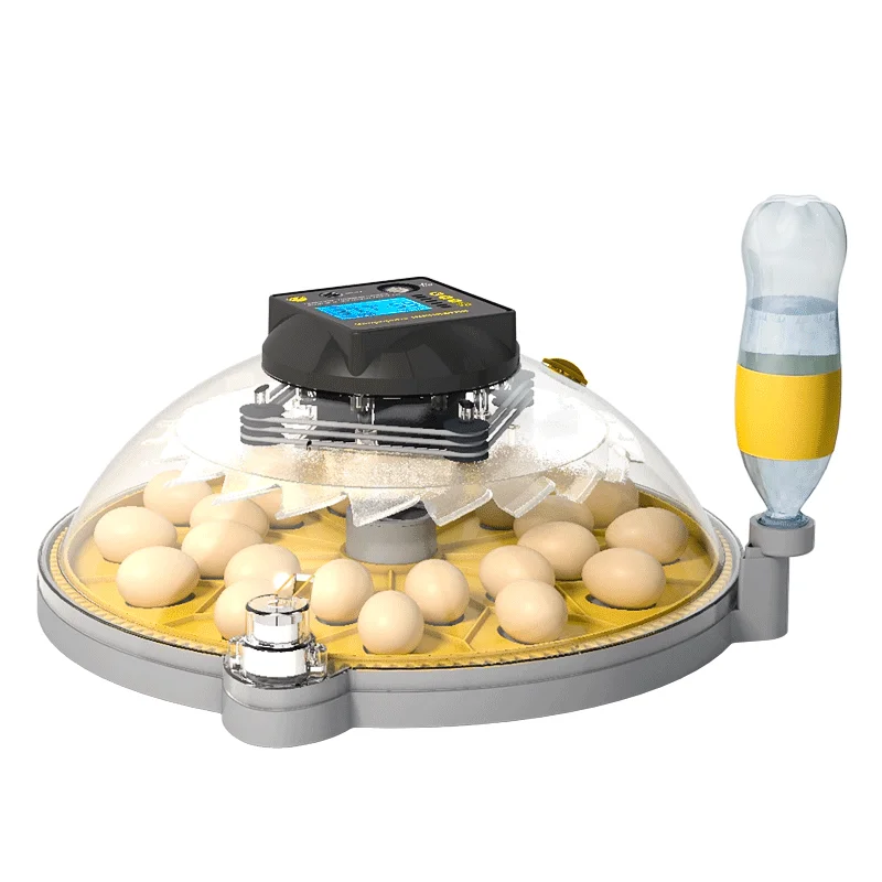 Small Home Incubator Intelligent Automatic Egg Rutin Chicken Parrot Bird Egg Chicken Incubator