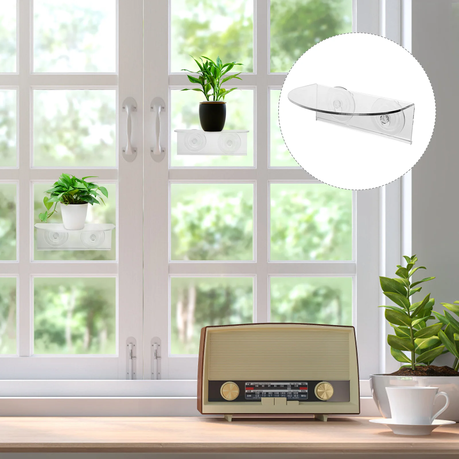 Acrylic Stand Storage Rack Window Planter Shelf Suction Cups White Wall Shelves Mount Wall-mounted Ledge Kitchen