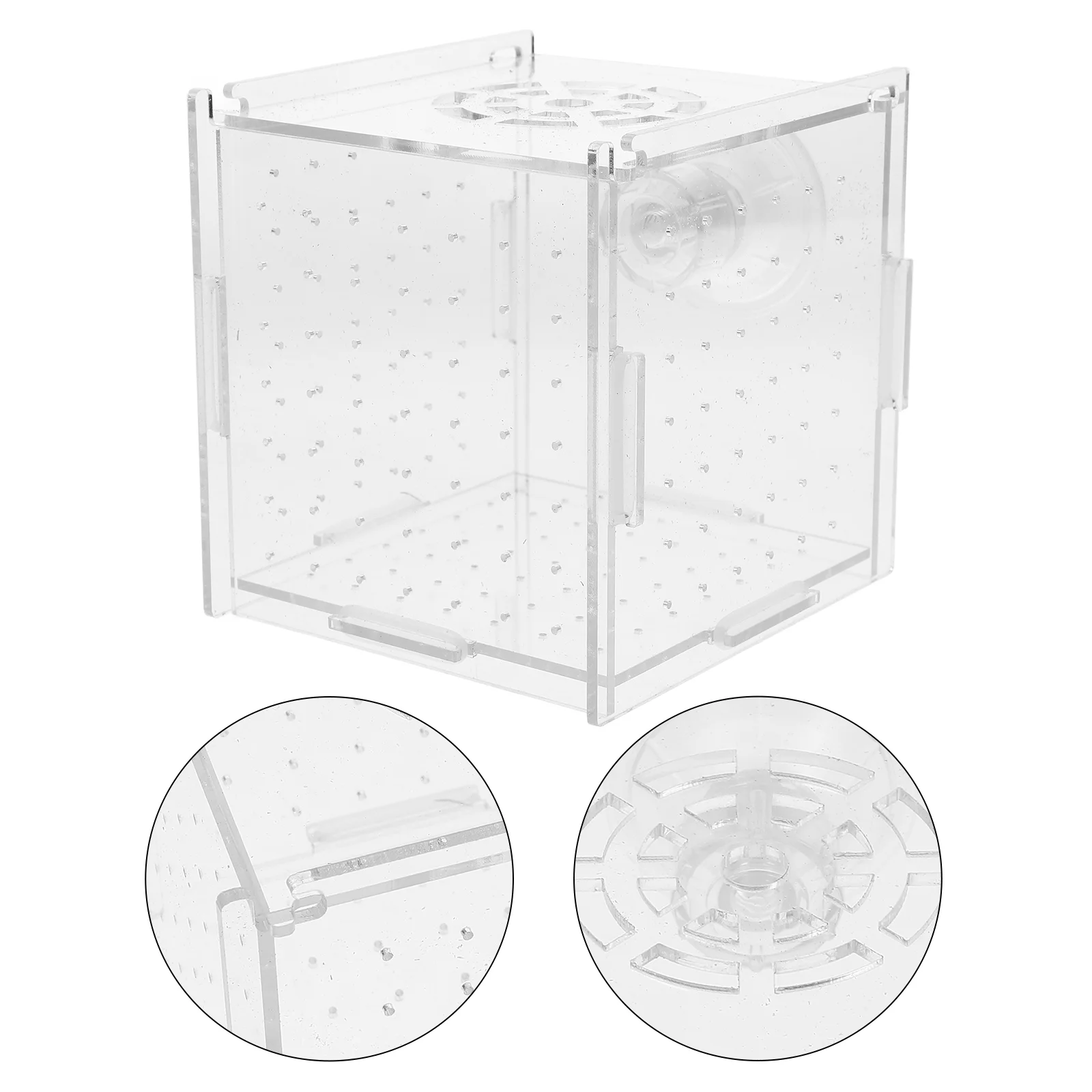 

Fish Breeding Box Acrylic Fish Isolation Box With Suction Cups Aquarium Acclimation Hatchery Incubator For Baby Fish Shrimp