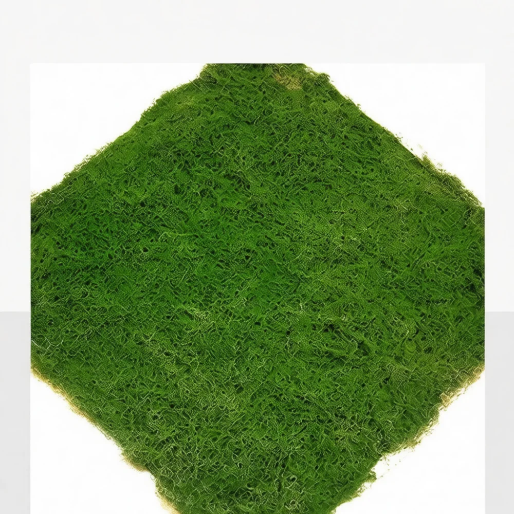 Alfombra de musgo artificial, - Terrarium Moss Art reseña y precio