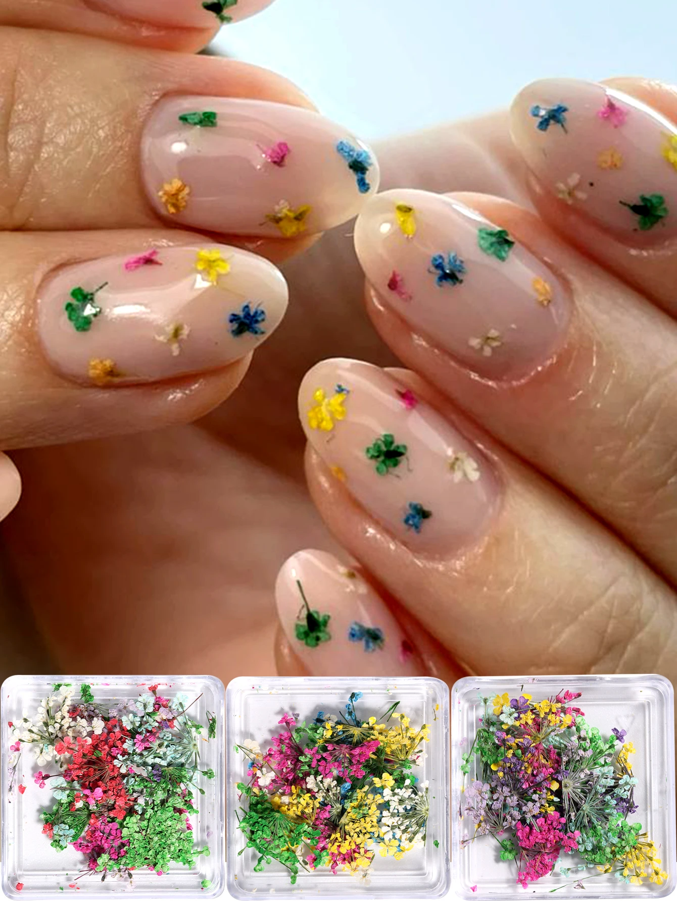 Gemischte Bunte Natürliche Blumen Nagelkunst-Charms Klein-Blau Gelb Rot Fünfblättrige Blume Natürliche Florale Maniküre-Accessoires – Detail 11