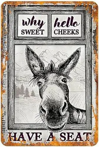 Why Hello Sweet Cheeks Aluminum Weatherproof Funny Sign p1332 sign