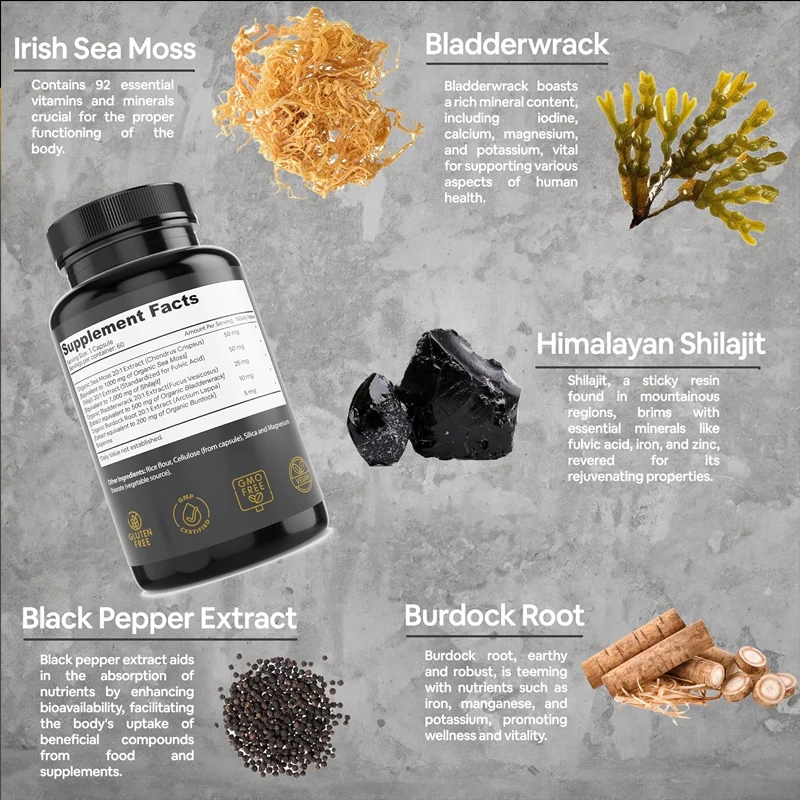 Sea Moss with Shilajit 5-in-1 Superfood Mineral Supplement with Bladderwrack, Burdock Root & Black pepper | Enhanced Absorption