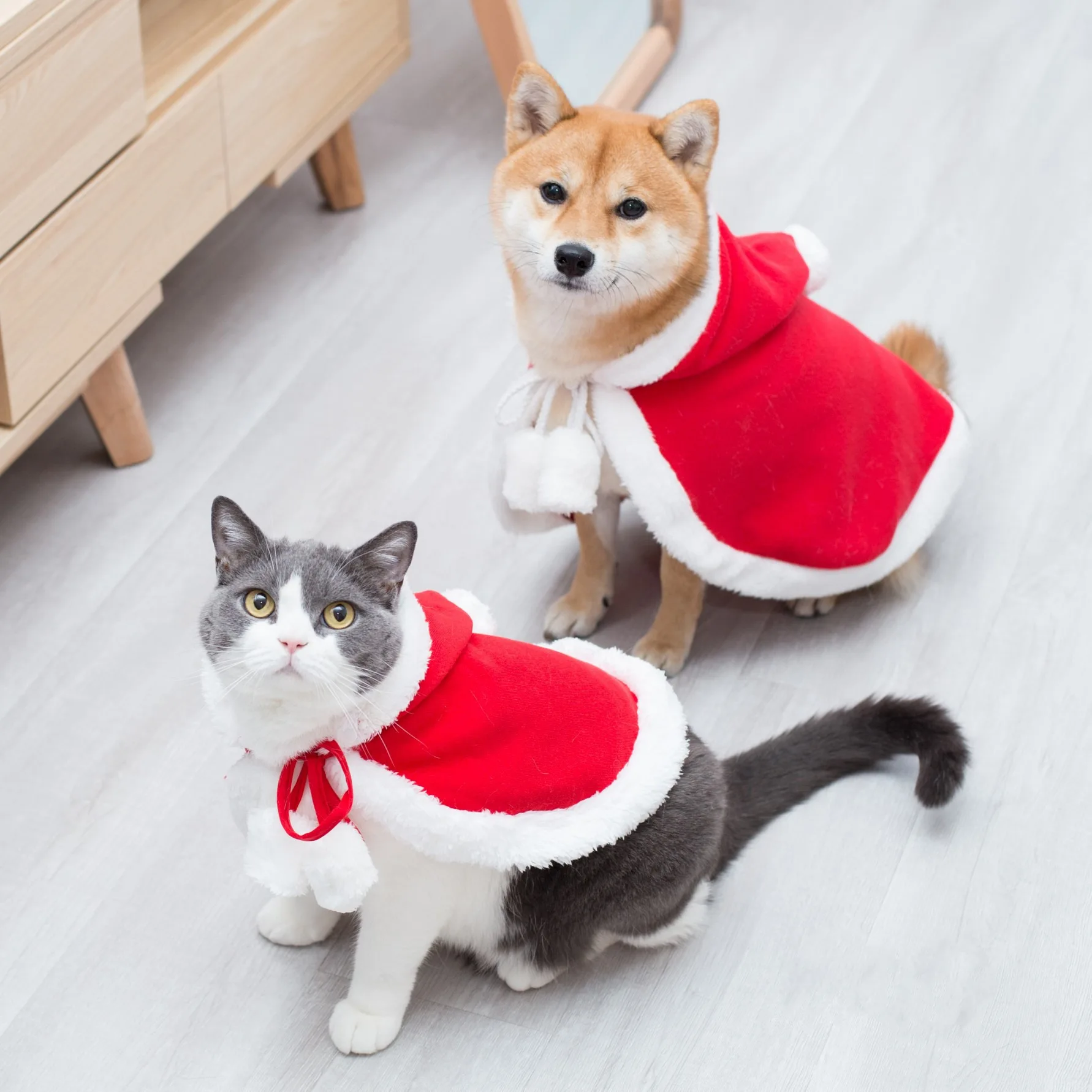 Cute Dog Cat Pet New Year Christmas Red Cloak Costume Decoration Gift PT71