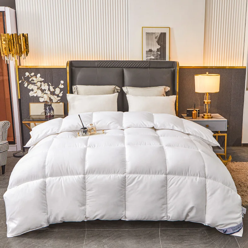 Goose/Duck Down+ Polyester Quilted Duvet For Winter Autumn,Blue Grey Home Hotel Single Double Comforter,King White Quilt Core