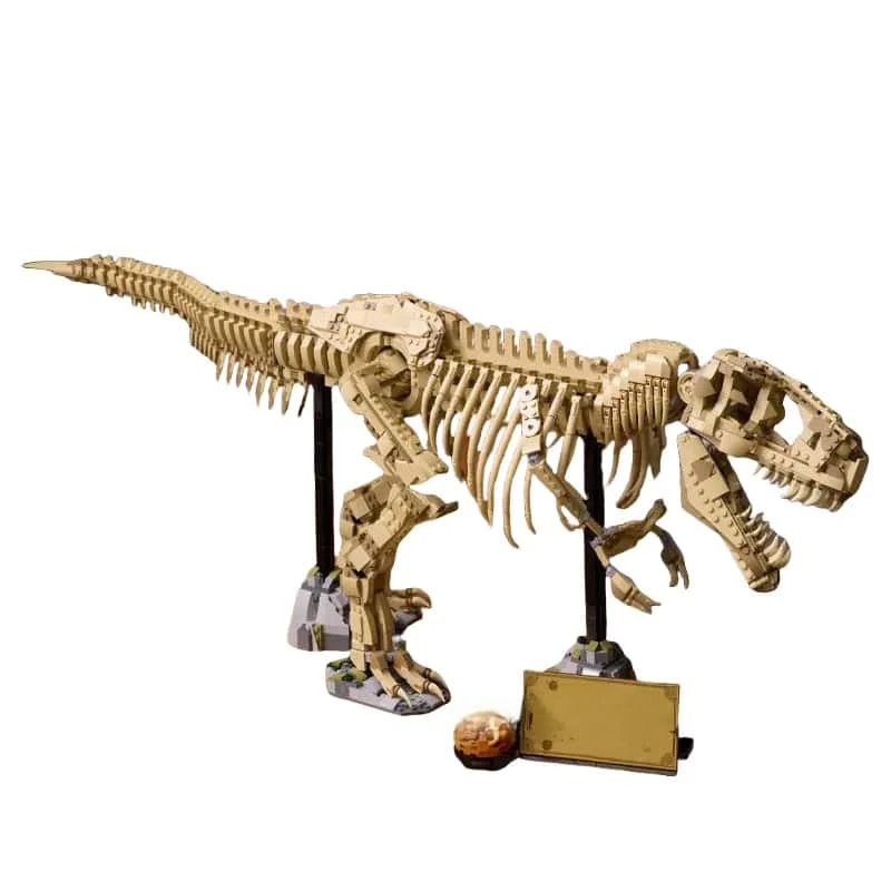 

2026 new yellow Tyrannosaurus fossil skeleton model adult holiday gif Home decoration
