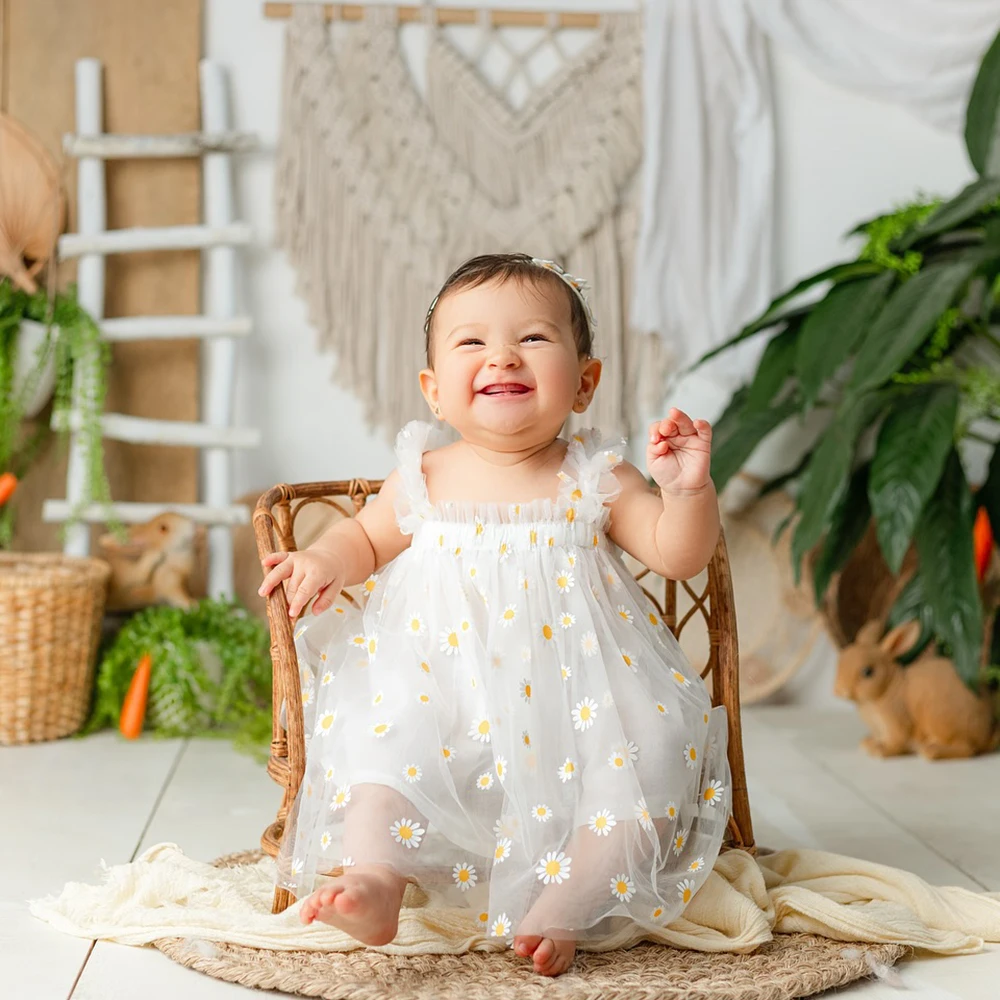

Newborn Baby Girl Photography Props Daisy Mesh Princess Dress Infant Boutique Outfit Baby Shower Birthday Photo Shoot Clothes