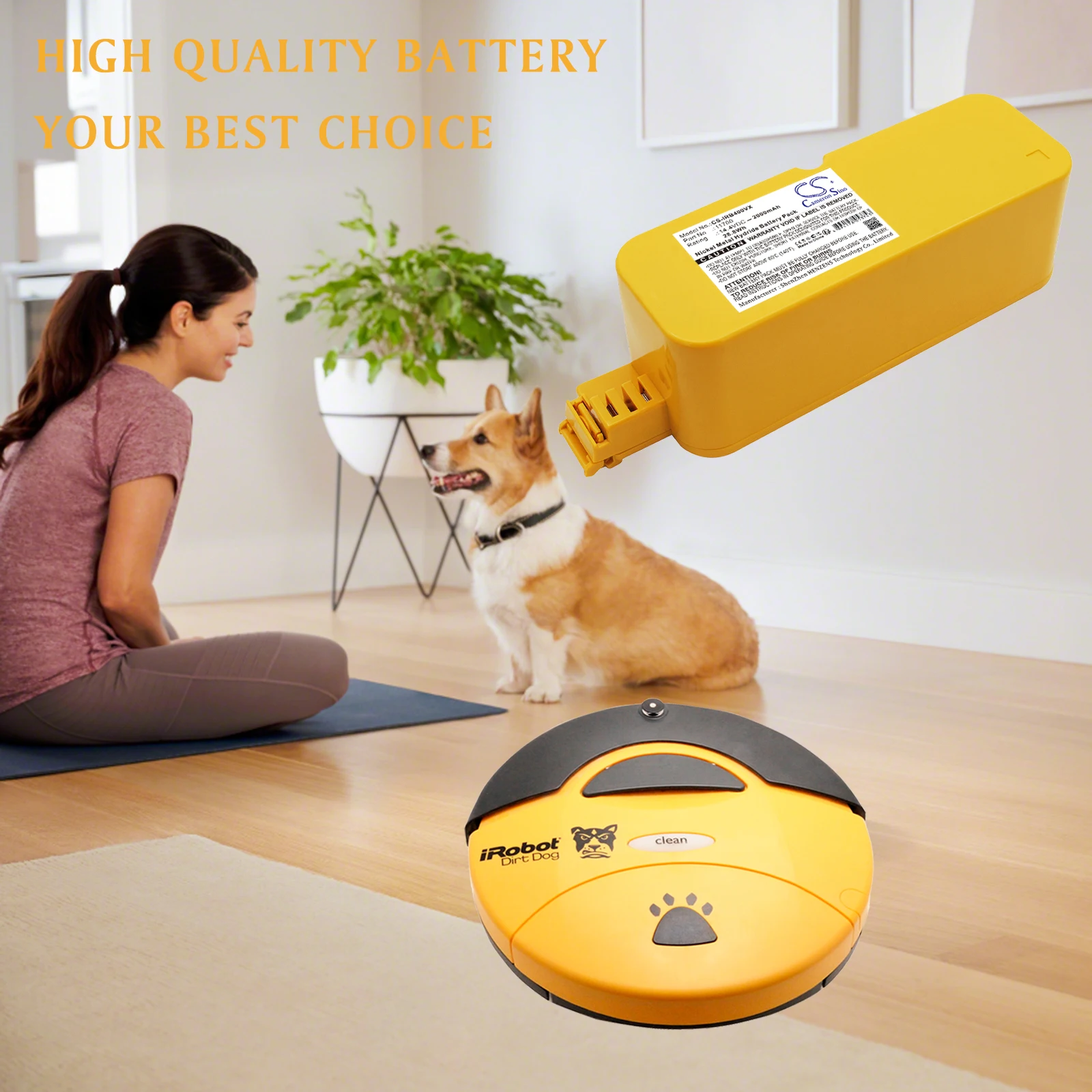 

Cameron Sino Vacuum 2000mAh Battery For Roomba 4270 4290 4296 Discovery 400 FloorVac 400 4260