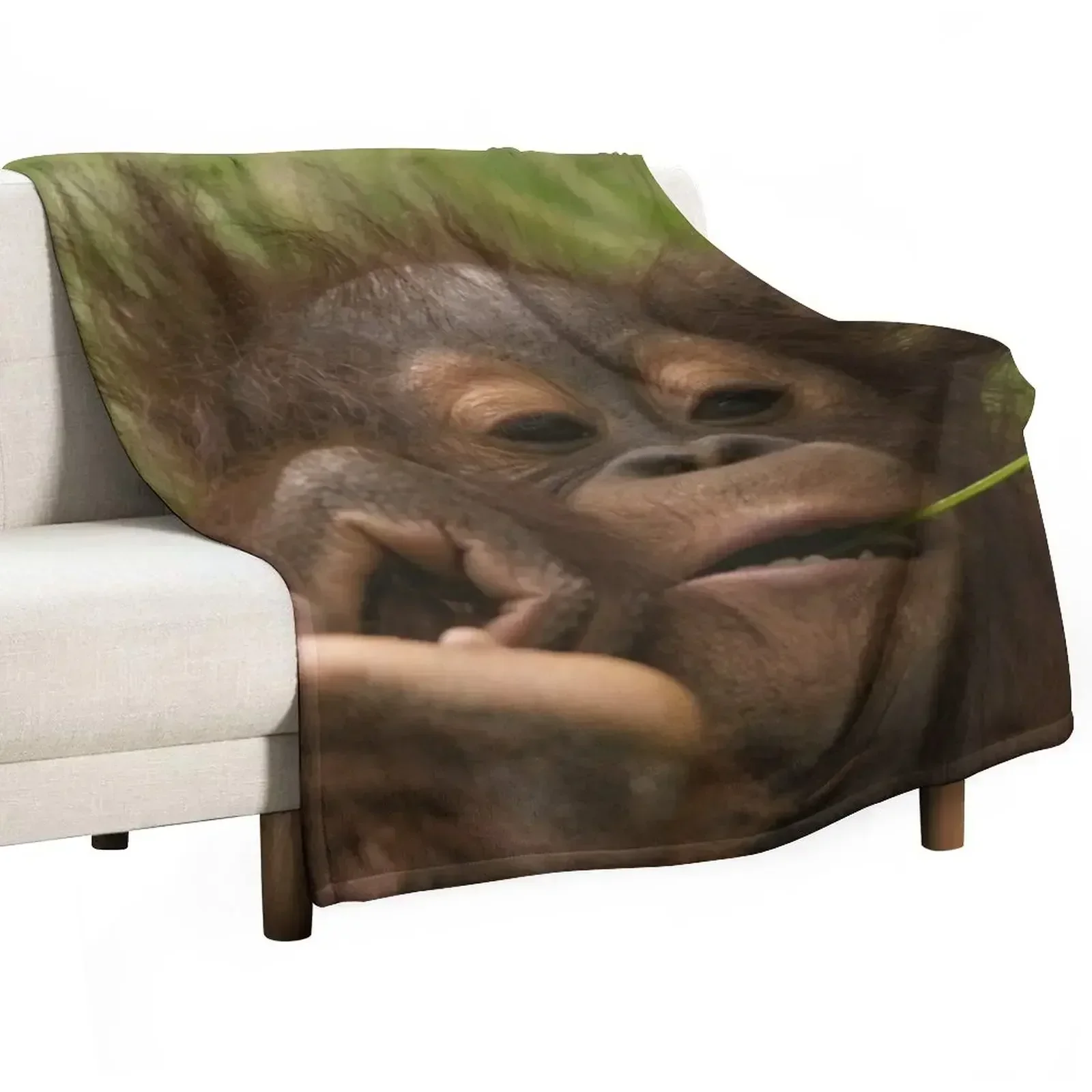 Orangutan Baby Throw Blanket Winter beds Designers Hair Thins Blankets