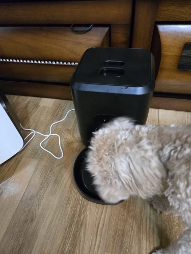 구매후기