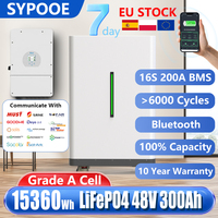 EU LiFePO4 48V 300Ah Battery Pack 200Ah 150Ah 100Ah Portable Wheeled 15Kwh 10Kwh 6000+ Cycle Bluetooth 51.2V Lithium Ion Battery