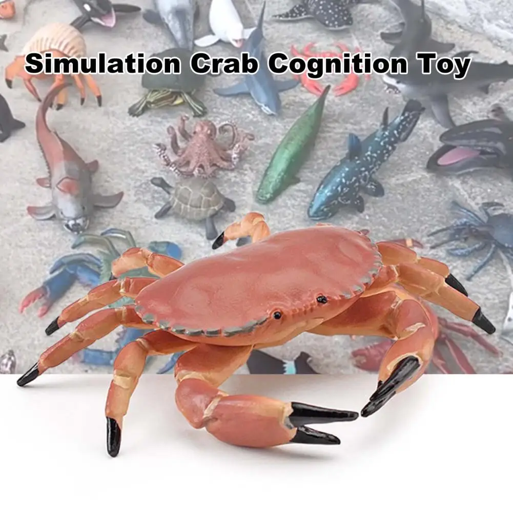 Simulation Animal Model Durable Animal Cognition Toy Realistic Aquarium Miniature Crab Cognition Education Toy Practical