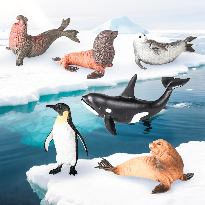 Oenux 新しい海洋生物シールアシカクジラサメメガロドンイルカ水族館