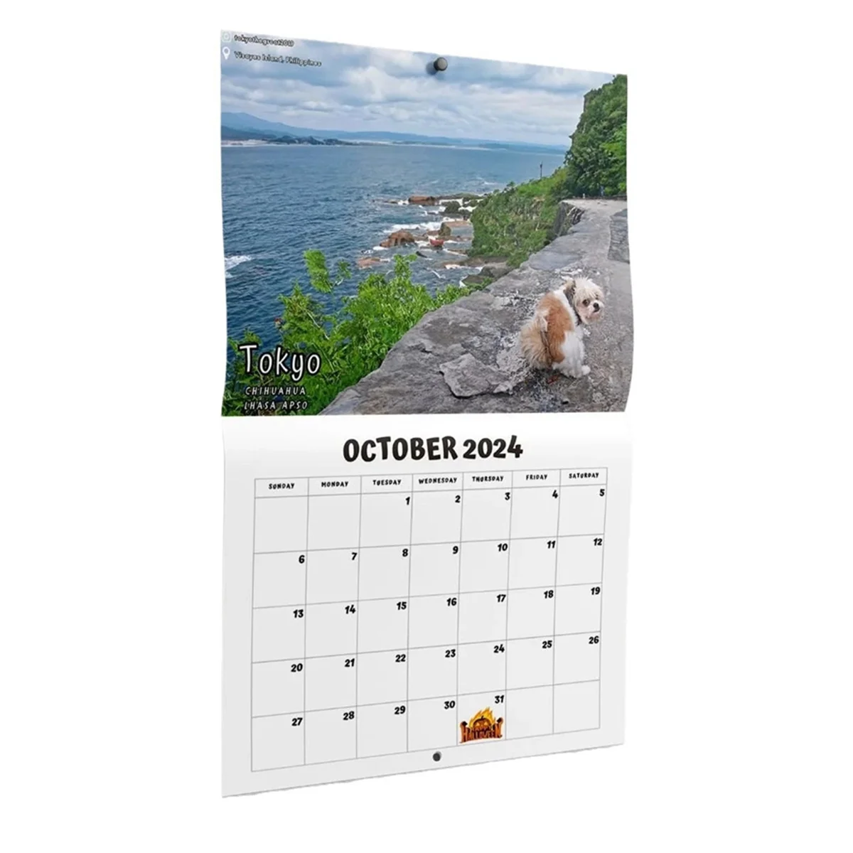 

Dog Pooping in Beautiful Places 2024 Calendar (Pre-Order) - Funny Wall Art Christmas Holiday Gag Gift Prank Item