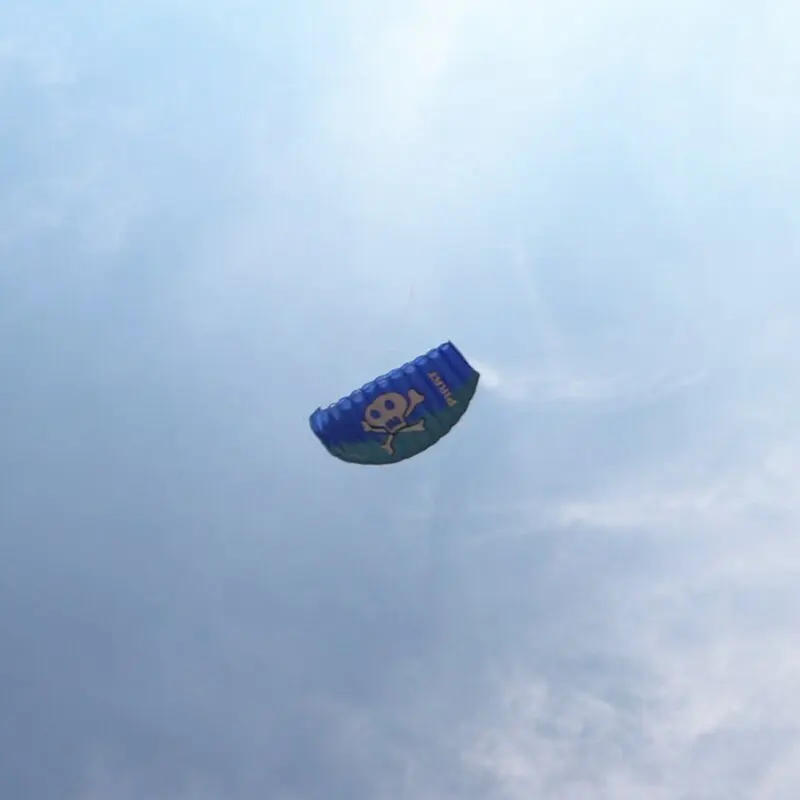 1,2 m Skelett Dual Line Stunt Power Kite große Parafoil Drachen für Erwachsene fliegendes Kitesurfen neue Anfängerfabrik Fallschirmvlieger
