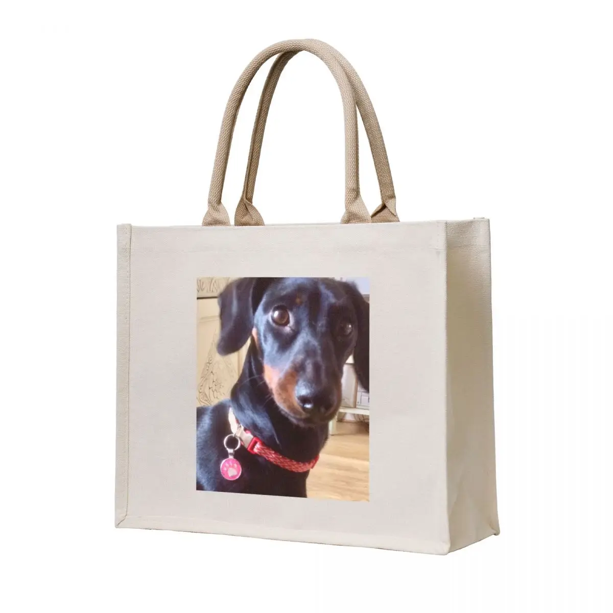 

Inquisitive Layla moment Tote Bag Cloth bag tote bag canvas tote