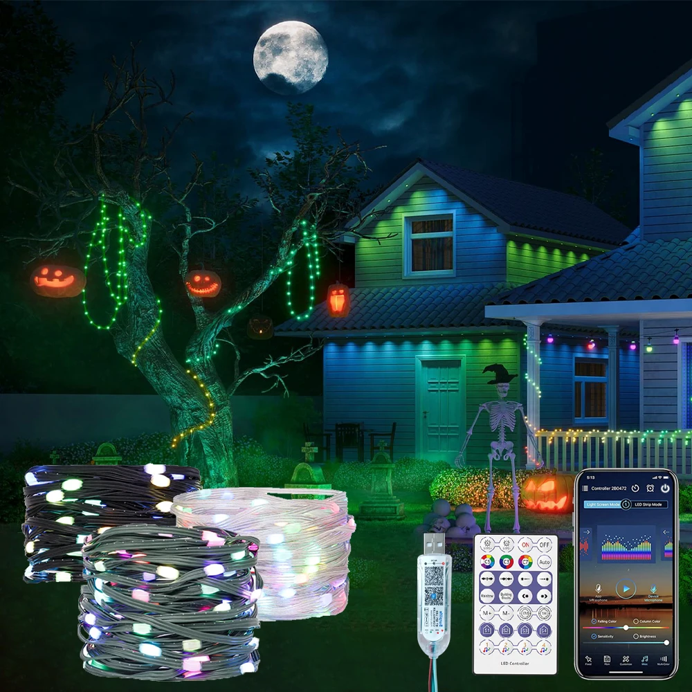 5-20m WS2812B RGBIC LED String DC5V USB Bluetooth APP music controller Addressable Wedding Garland Decoration Christmas Lights