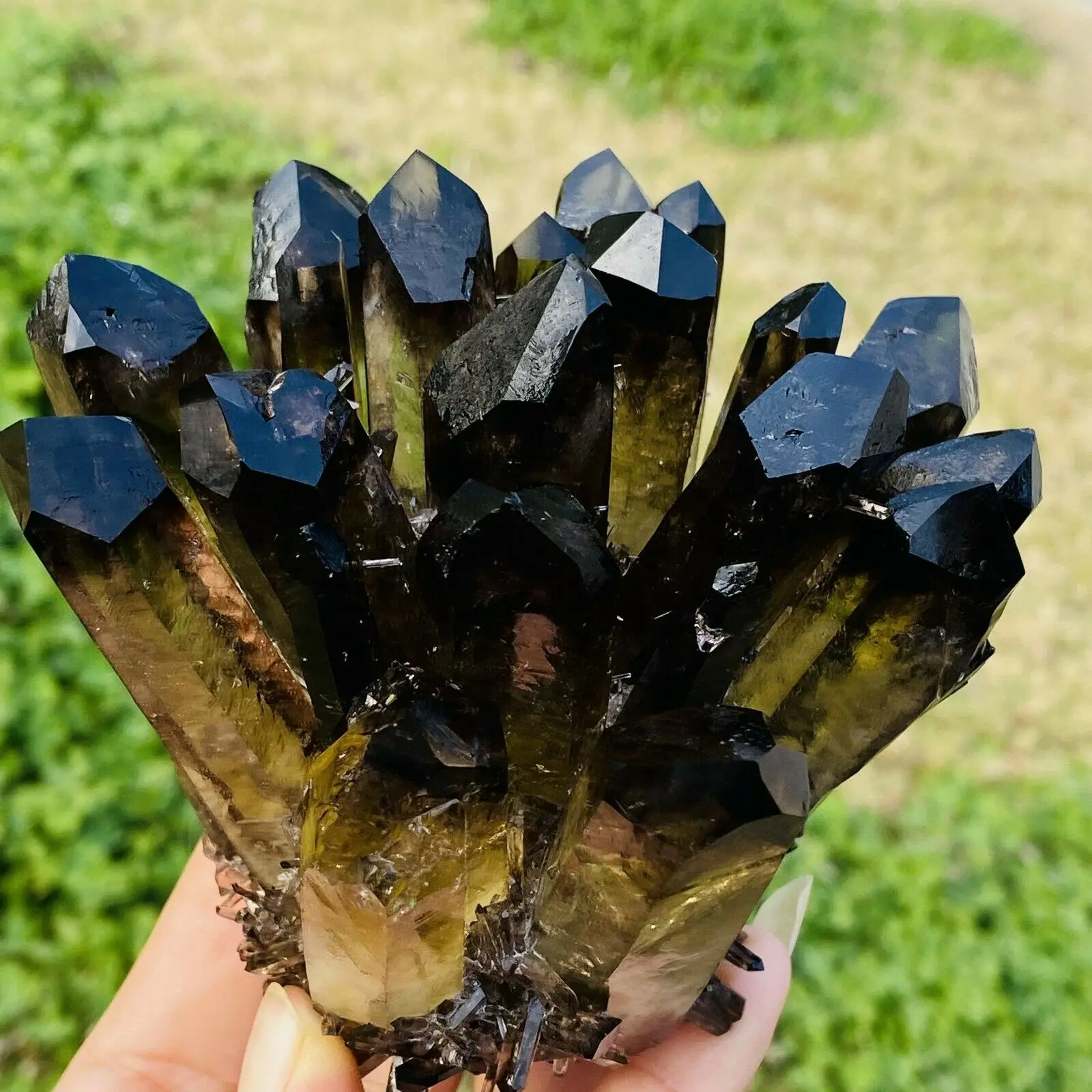 Natural Beatiful Black Quartz Crystal Cluster Specimen Healing