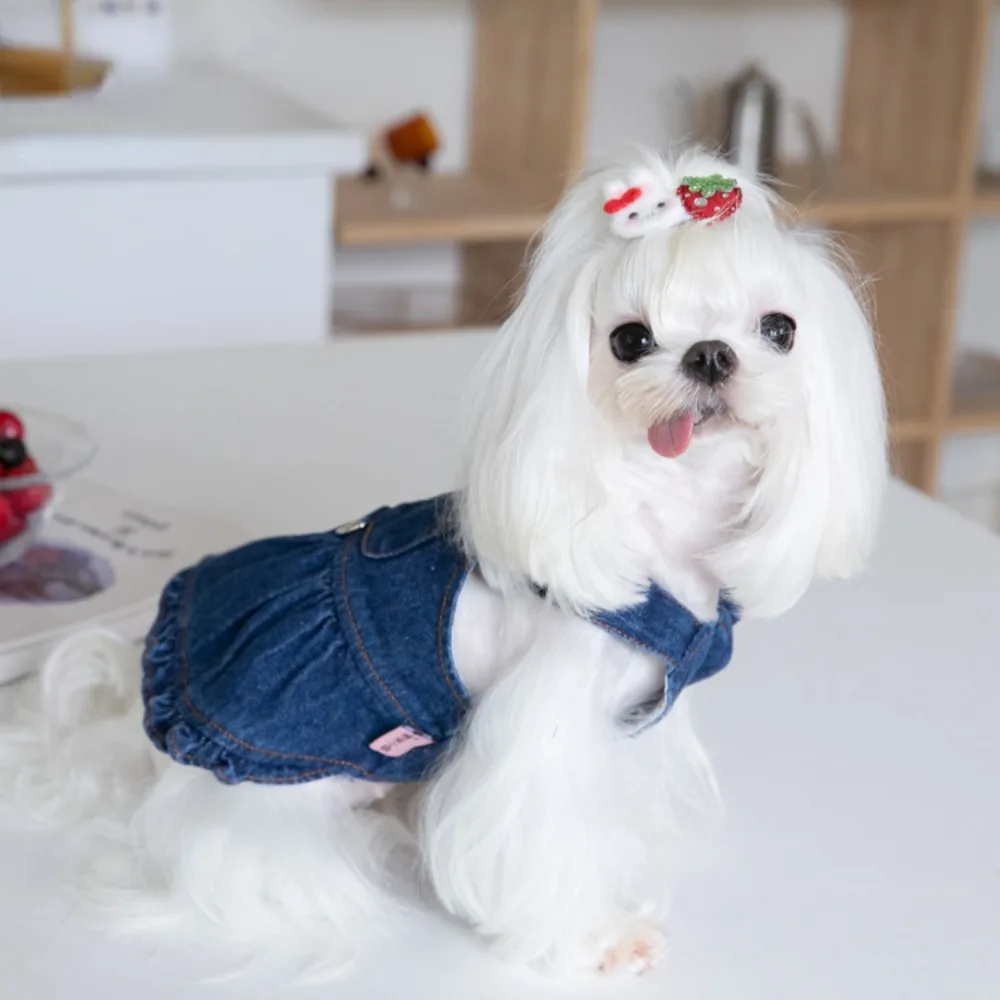 Pet Autumn Winter Cute Traction Denim Skirt Strap Dress Pet Dress Cat Dog Clothing Clothing Teddy Dog Clothes for Small Dogs