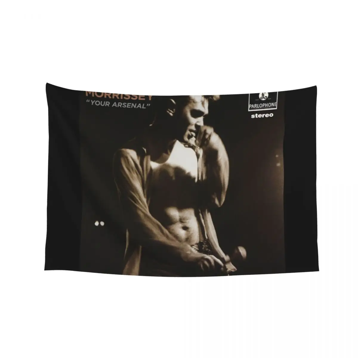 

Morrissey your arsenal Tapestry Decoration For Rooms Korean Room Decor Mushroom Bathroom Decor Tapestry