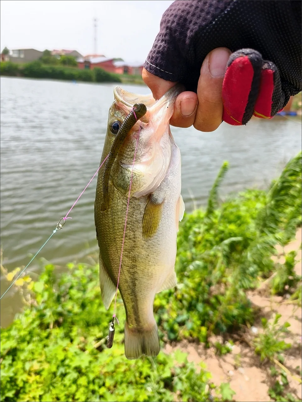 Mukun Soft Baits Wurm lockt Cutty 2,3mm 10 stücke g Angel köder Kurbel köder Angeln Forelle Hecht Wels Pesca künstlich – Detail 11