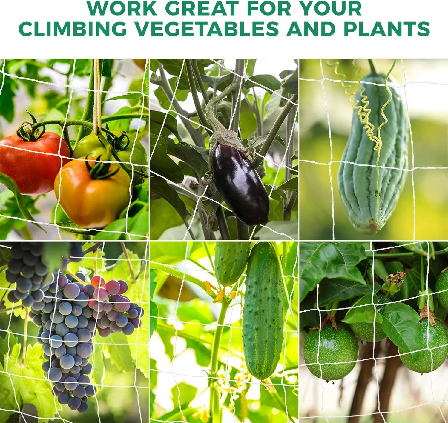 1PCS High-quality Garden Climbing Plant Net Loofah Garden Plant Climbing Net Cucumber Vine Planting Bracke